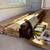 Leftover Lumber Package - unused 2.1E LVL beam, framing, nails, straps 1 thumbnail