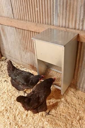 Little Giant  Galvanized High Capacity Poultry Feeder 1