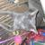 Cat for adaption 2 thumbnail