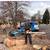 Tree removal & tree trimming LOWEST PRICES/free estimates 3 thumbnail
