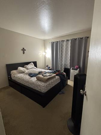 $2,795 / 3br - Cute House and large Back Yard! (hayward / castro valley)63873333555969122