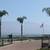 San Gabriel Palm and Tree care Services 5 thumbnail