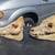 2 PIG SKULLS 7 thumbnail