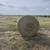 Cow hay 1 thumbnail