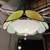 Vintage Marbled Slag Glass Hanging Victorian Style Light 1 thumbnail