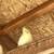 Cockatiel 2 thumbnail