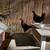 Black Bantam chickens 1 thumbnail