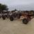 Hay & Equipment for Sale 15 thumbnail