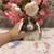 Holland lop 1 thumbnail