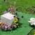 Funeral Photography 8 thumbnail