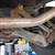 Hyundai Elantra 2008 (high mileage) 14 thumbnail