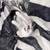 White kitten for rehoming 7 thumbnail