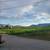 3 bedroom west kelowna 1 thumbnail
