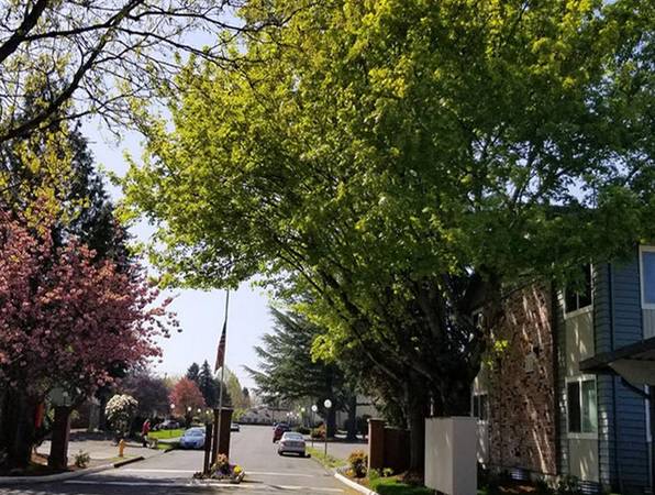 $1,700 / 2br - Walkthrough Kitchens, Updated Interior :: Onsite Clubhouse & Dog Walk (Gresham)63867269689219124