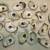 OYster  And  CLam shells  for  Crafts 1 thumbnail