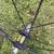 MAVIC KSYRIUM REAR WHEEL BIKE BICYCLE 700C CLINCHER 3 thumbnail
