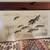 Framed Asian Watercolor Fish Painting 1 thumbnail