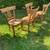 FOUR VINTAGE MATCHING WOOD CHAIRS WITH RUSH SEATS AND CARVED DEER 7 thumbnail