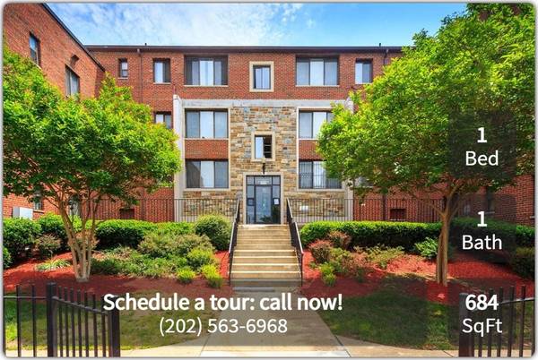 $1,199 / 1br - 684ft2 - ¡Hermoso y luminoso departamento de 1 habitación y 1 baño! ¡No esperes más para llamarnos hogar! (Washington - Cerca del centro)63779442265859120