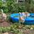 African geese goslings 2 thumbnail