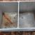 Antique Double Wash Tubs Wringer Washer / Planter (3 Available) 4 thumbnail