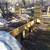 Truck trailer snow plow 4 thumbnail