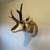 Pronghorn Head Mount 1 thumbnail