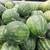 Watermelons 1 thumbnail