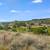 Gated Lot w/ Water & Electric - Canyons at Scenic Loop - $159,000 8 thumbnail