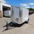 2022 Arising 5X10 Cargo / Enclosed Trailer 1 thumbnail