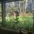 Room in santa cruz mountains 2 thumbnail