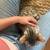 Bengal 1 thumbnail