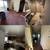 HOARDING CLEAN UP,TRASH/HAULING/JUNK REMOVAL⭐STRESS FREE (408)6204250 2 thumbnail