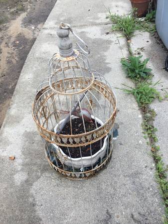 Planter in a bird cage 1