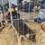 Puppies(German shepherds) 8 thumbnail