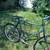 GIANT IGUANA cycles BIKE 26” wheel bicycle tall 22” frame 7 thumbnail