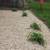 Lawn Care 🌱🌲🪵 landscaping 🪻🌺🌸🪴 mulch Rock dirt delivered 23 thumbnail