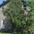 gilbert 4br 2ba 1300 plus utils 1 thumbnail