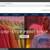 *LOCAL Freelance Web Dev • New Sites, Redesigns, Exp & Professional 14 thumbnail