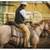 Part-Time Ranch Help / Stall Cleaner –  (Long-Term) 5 thumbnail