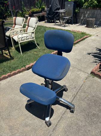 Two high quality desk chairs (selling separate) 1