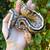 Borneo Short Tail pythons 2 thumbnail