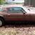 (2) 1979 Firebird Formula cars- roller + body shell 11 thumbnail