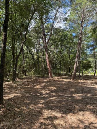 $20,000 / 9500ft2 - Lote de .22 Acre en el Corazón de Interlachen FL! (Interlachen)63823027456771123