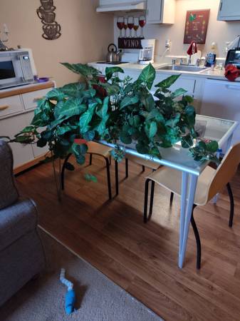 Large Artificial Plant for Your Home or Office Decor 1