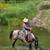 Family Horses 4 thumbnail