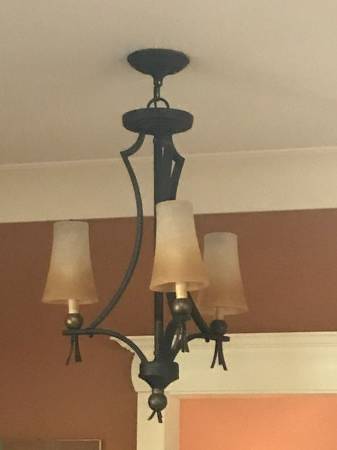 Small chandelier or foyer light fixture 1
