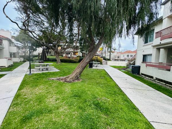 $3,000 / 2br - 995ft2 - Furnished condo near beach & base (Oceanside)63621351956611123