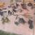 30 piece set of dinosaurs-lizards-snakes birds-etc 3 thumbnail