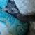Lost gray female tabby cat 4 thumbnail